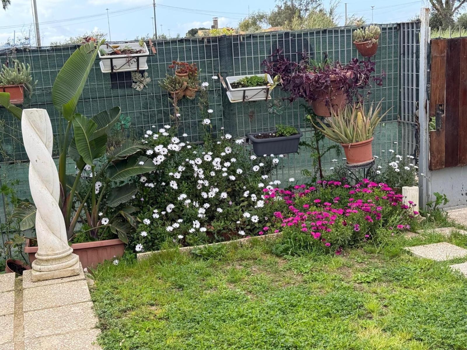 Flower House Civitavecchia Exteriör bild